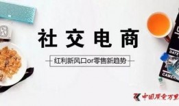 社交电商最新爆料,揭秘爆款背后的秘密与趋势